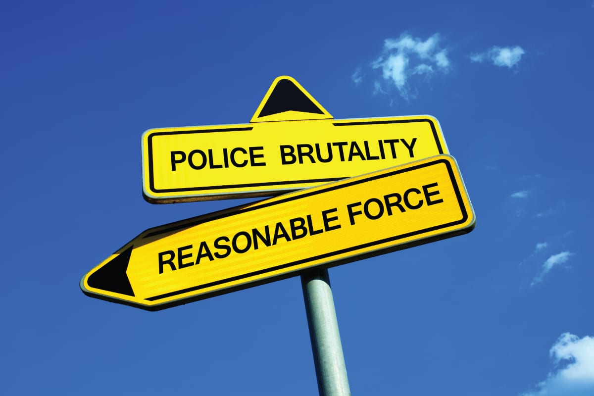excessive force, police brutality